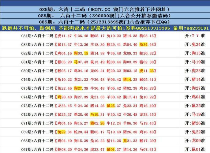 新奥门资料免费资料大全